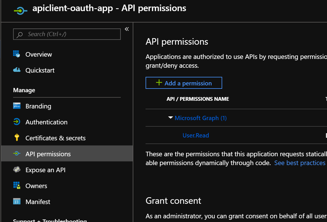 41-Add-API-Permissions