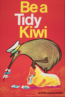 be-a-tidy-kiwi